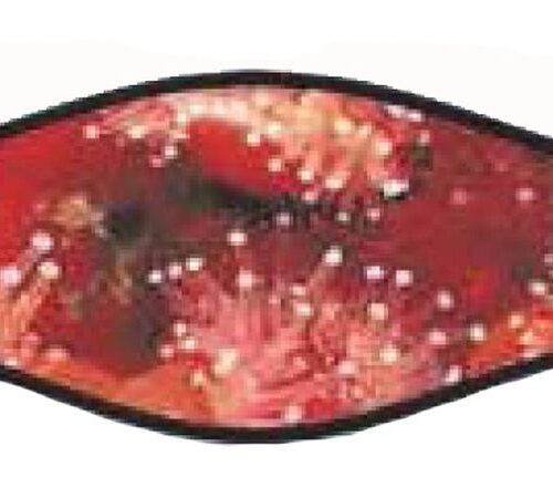 Ez Strap Wrapper - Picture