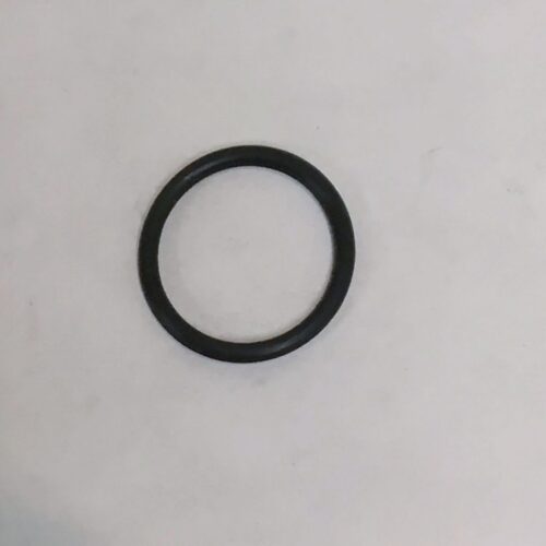 O-Ring (Largest O-Ring In Hp Balance Plug)