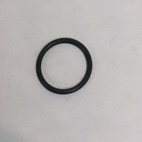 O-Ring (Largest O-Ring In Hp Balance Plug)