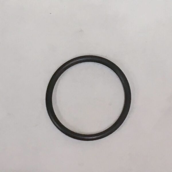 O-Ring (Underneath Yoke)