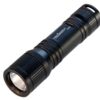 D520 Dive Light