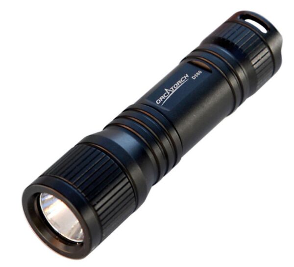 D520 Dive Light