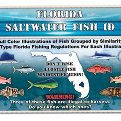 Florida Saltwater Fish Id Book