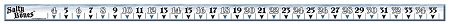 36" Ruler- Laminated Vinyl Salty Bones Sticker