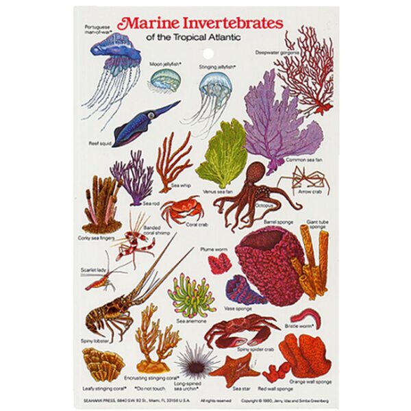 Marine Invertebrates Field Guide Card