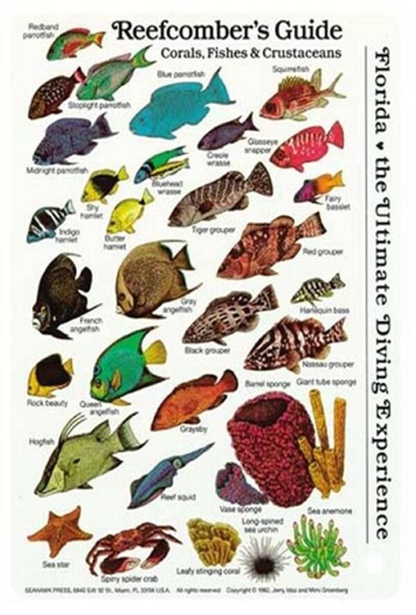 Reefcomber Field Guide Card