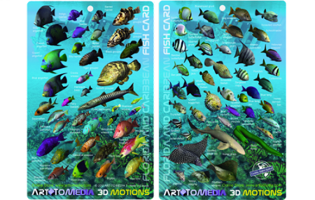 Florida & Caribbean 3D Motion Fish Card