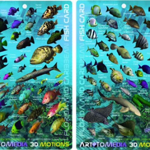 Florida And Caribbean - 3D Fish Card