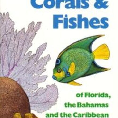 Guide To Corals & Fishes - Waterproof