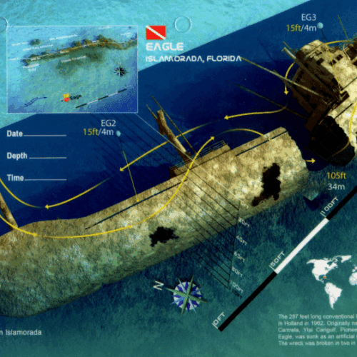 Eagle Islamorada - 3D Dive Site Card