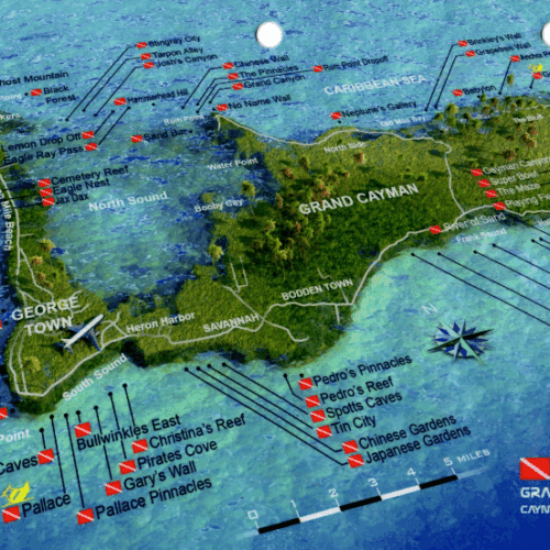 Stingray City Grand Cayman - 3D Dive Site Card