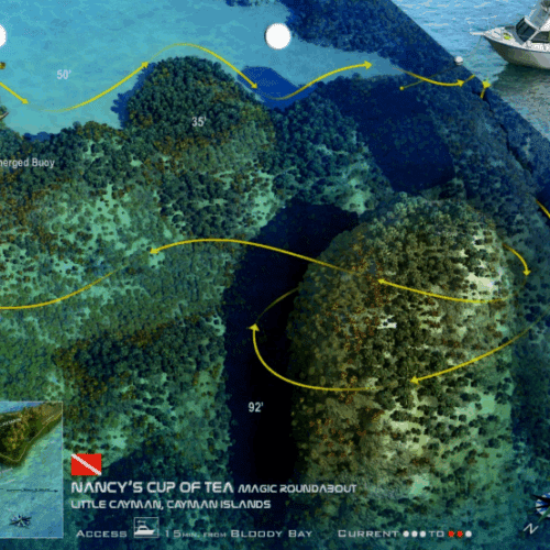 Lea'S Lookout Nancy'S Cup Of Tea Little Cayman - 3D Dive Site Car