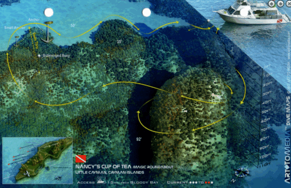 Lea'S Lookout Nancy'S Cup Of Tea Little Cayman - 3D Dive Site Car