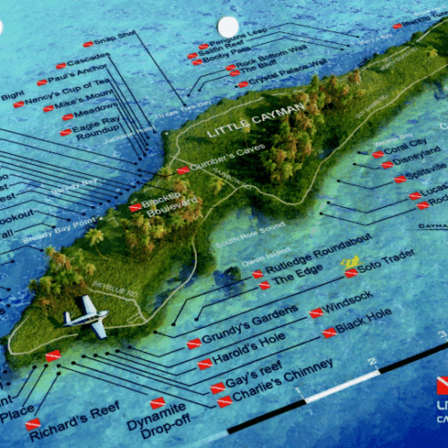 Randy'S Gazebo Little Cayman - 3D Dive Site Card
