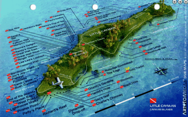 Randy'S Gazebo Little Cayman - 3D Dive Site Card
