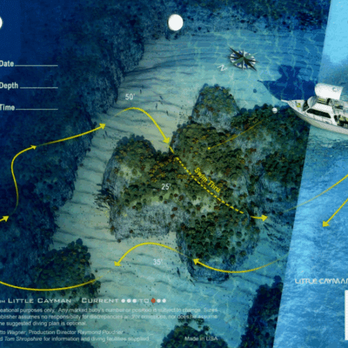 Marylin'S Cut Meadows Little Cayman - 3D Dive Site Card