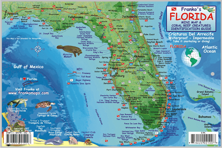 Florida State Map & Fish Id Card