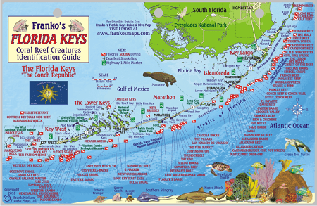 Florida Keys Map & Fish Id Card