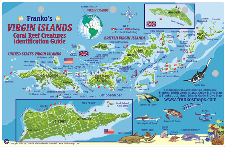 Virgin Island Map & Fish Id Card