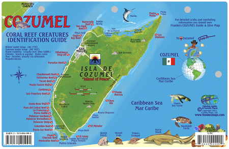 Cozumel Map & Fish Id Card