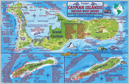 Cayman Islands Map & Fish Id Card