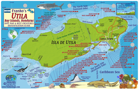 Utila Honduras Map & Fish Id Card