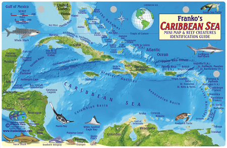 Caribbean Sea Map & Fish Id Card