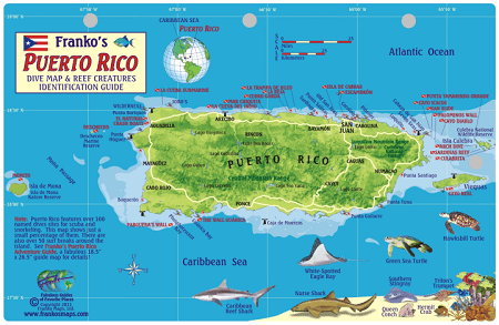 Puerto Rico Map & Fish Id Card