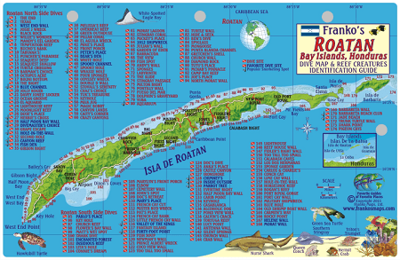 Roatan Map & Fish Id Card