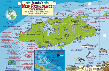 New Providence Map & Fish Id Card