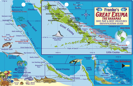 Great Exuma Island Map & Fish Id Card