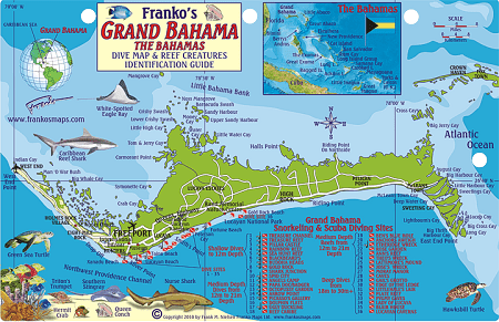 Grand Bahama Map & Fish Id Card