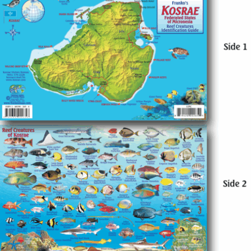 Kosrae Map & Fish Id Card