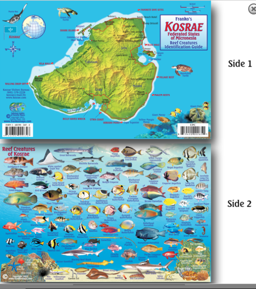 Kosrae Map & Fish Id Card