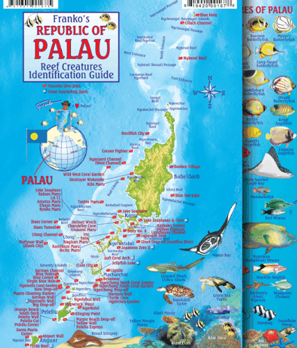 Palau Map & Fish Id Card