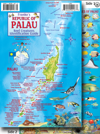 Palau Map & Fish Id Card