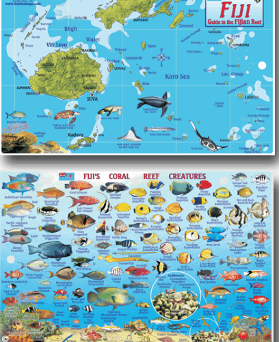 Fiji Map & Fish Id Card