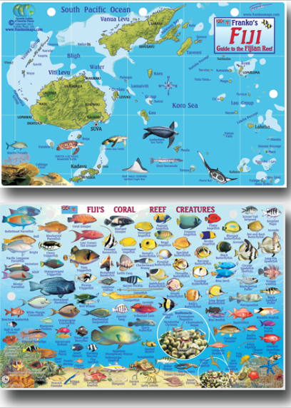 Fiji Map & Fish Id Card