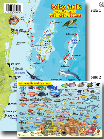 Belize Atolls Map & Fish Id Card