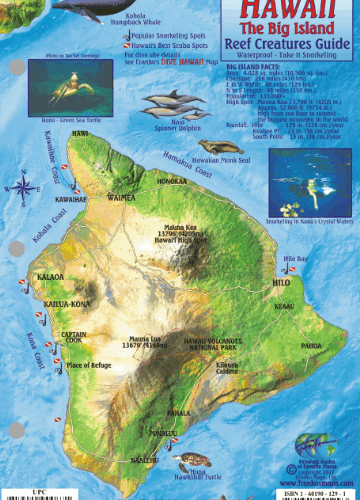 Big Island Map & Fish Id Card