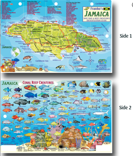 Jamaica Map & Fish Id Card