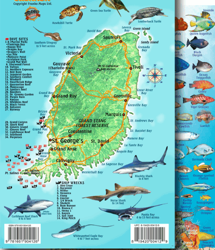 Grenada Map & Fish Id Card