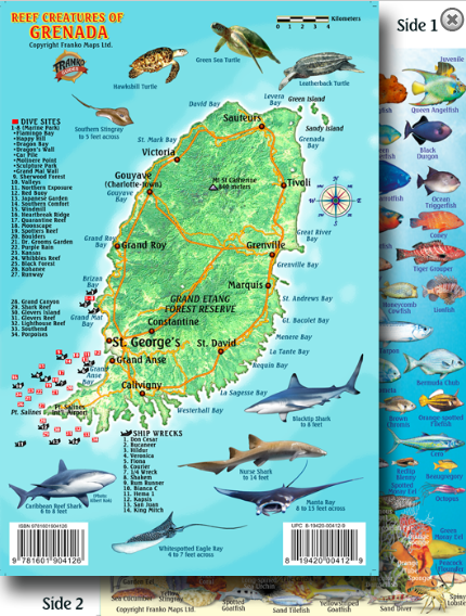 Grenada Map & Fish Id Card