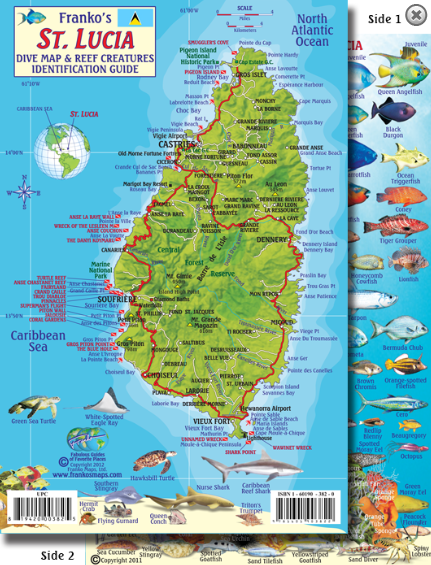 St. Lucia Map & Fish Id Card