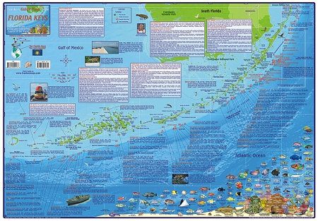 Florida Keys Folding Guide & Dive Map