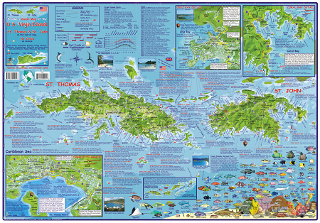 Us Virgin Island Folding Guide & Dive Map