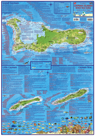 Cayman Island Folding Guide & Dive Map