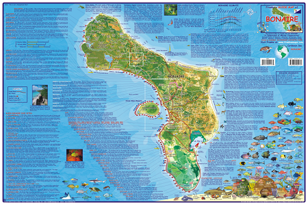 Bonaire Folding Guide & Dive Map