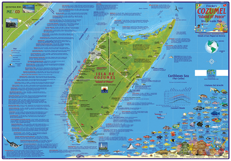 Cozumel Folding Guide & Dive Map