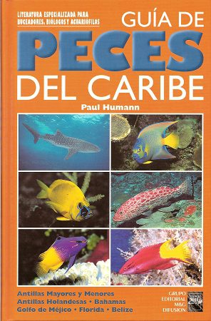 Reef Fish Identification Spanish Version Guia De Peces Del Caribe